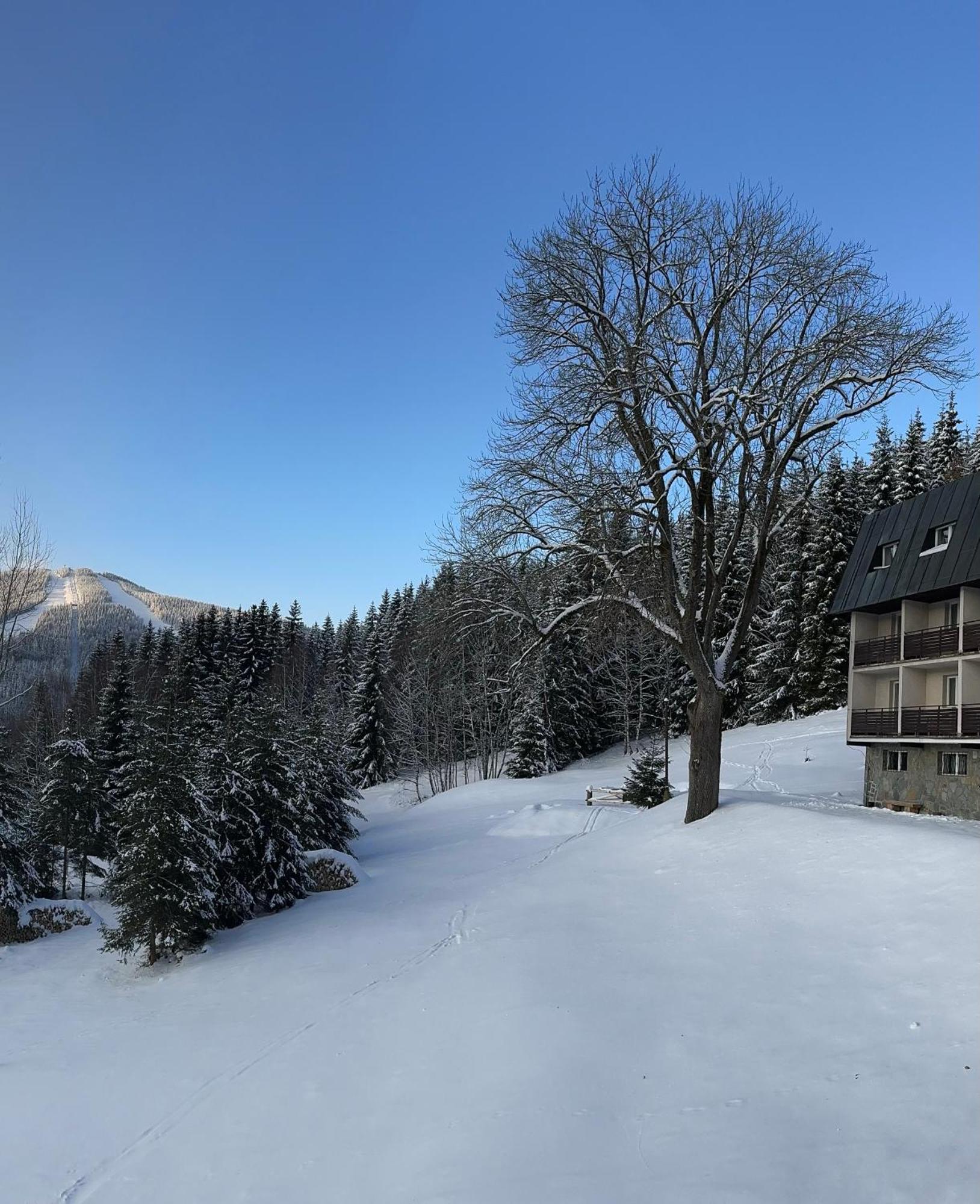 Hotel Horni Pramen Špindlerŭv Mlýn Екстериор снимка